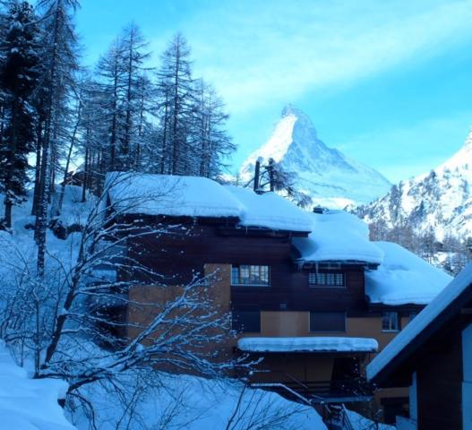 Studio central et chaleureux 1 Zermatt Extérieur photo
